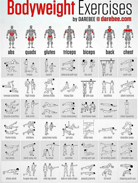 Pin By Eve Ohannigan On Fitnessexercise Full Body Workout Plan