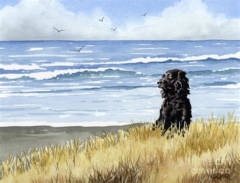 Boykin Spaniel At The Beach Painting By David Rogers Fine Art America