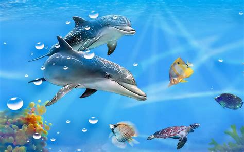 50 Free 3d Dolphin Screensavers Wallpaper Wallpapersa
