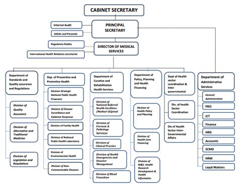 Organizational Structure Ministry Of Health Internal Audit