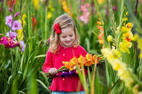 Growing An Edible Flower Garden For Kids