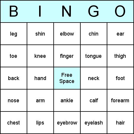 body parts bingo cards  teaching esl english    language