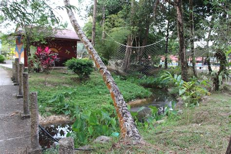 The resort with a difference. Muhammad Qul Amirul Hakim: Peladang Setiu Agro Resort ...