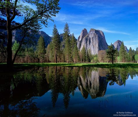 Cathedral Rocks Reflection Yosemite Valley Yosemite National Park