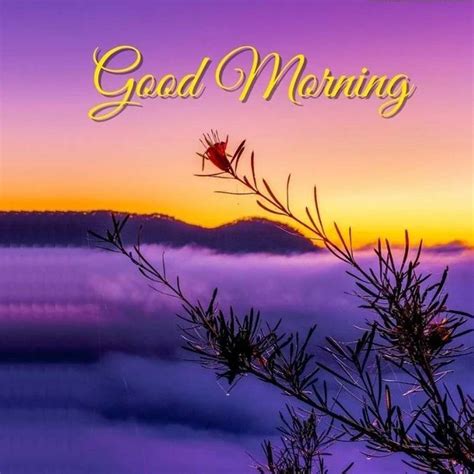 Cloudy View Good Morning Image Free Wishing Pic Download