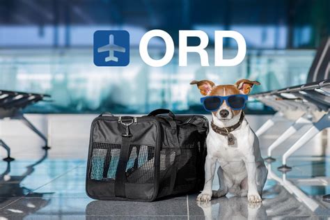 Chicago Ohare International Airport Ord Pet Guidelines Pet Travel
