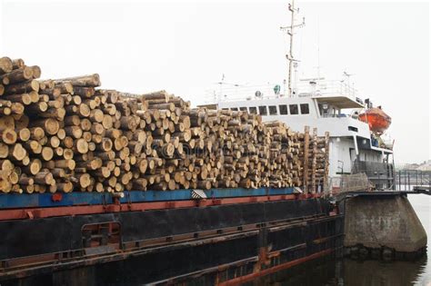 Shipping Timber Stock Image Image Of Container Environment 32939447
