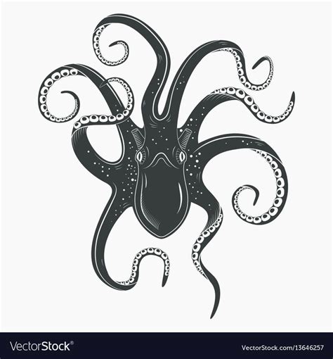 Octopus tattoo upside down mollusk or squid Vector Image , #AFF, #upside, #tattoo, #Octopus, # ...