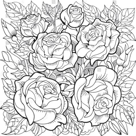 Flowers are a gift given to us by nature. 22+ Flower Coloring Pages - Free & Premium Download