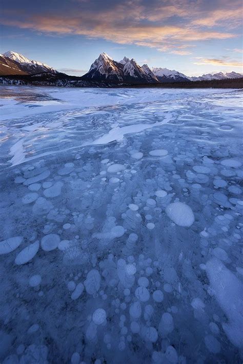The Best Way To View The Beautiful Ice Bubbles Of Alberta Alberta