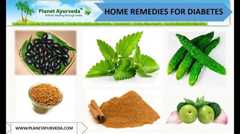 Home Remedies For Diabetes Mellitus Management Herbal Treatment Youtube