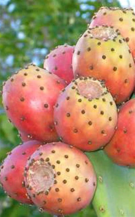 Simple Science: How to Make a Volcano with Kids