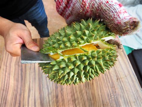 Learn about the time when durians are at their best form. A Serangoon Durian Story | Singapore