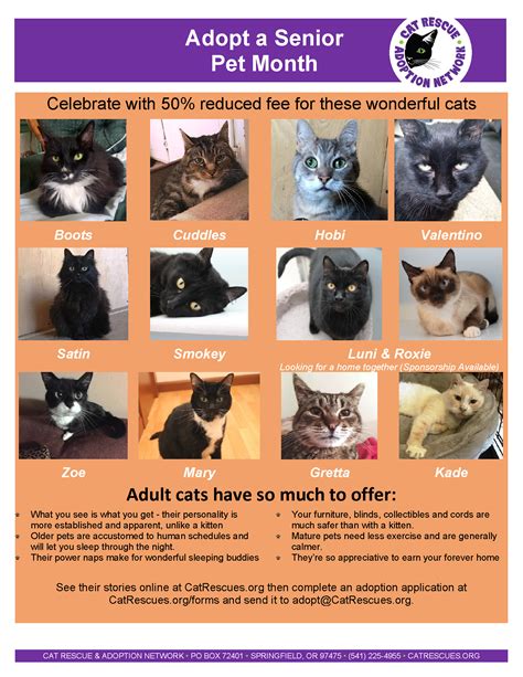 Cat Rescue And Adoption Networkcran Flyer Senior Cats2 Cat Rescue