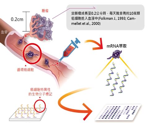Once the mrna is in the cell, human biology takes over. mRNA循環腫瘤細胞早期篩檢