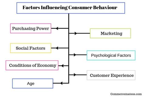 Mba Notes Factors Influencing Consumer Behaviour Consumer Behaviour Riset