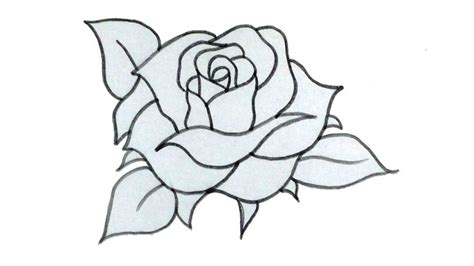 rose sketch how to sketch a rose for beginners rose drawing simple rose sketch rose drawing