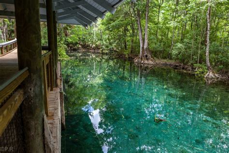 Maybe you would like to learn more about one of these? The Springs inside the Silver Springs State Park - Gate to ...
