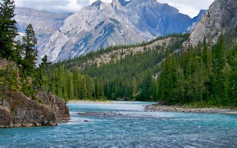 Hd Bow River In The Rockies Of Alberta Wallpaper Download Free 58852