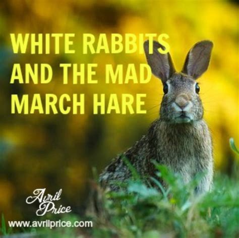 White Rabbits And The Mad March Hare Avril Price