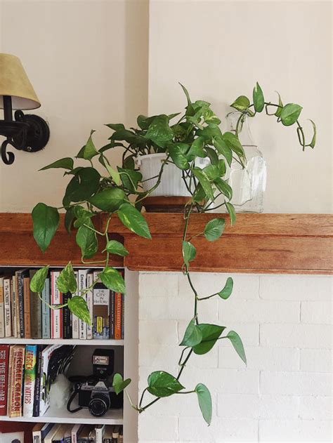 Maybe you would like to learn more about one of these? apartment goals | Tumblr