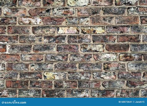 Brick Wall Closeup Stock Image Image Of Architecture 60073641