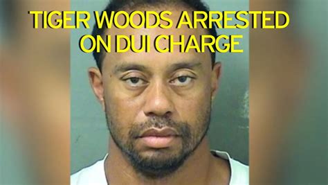 Tiger Woods In The Rough How Sex Scandal Divorce And Injury Hit The