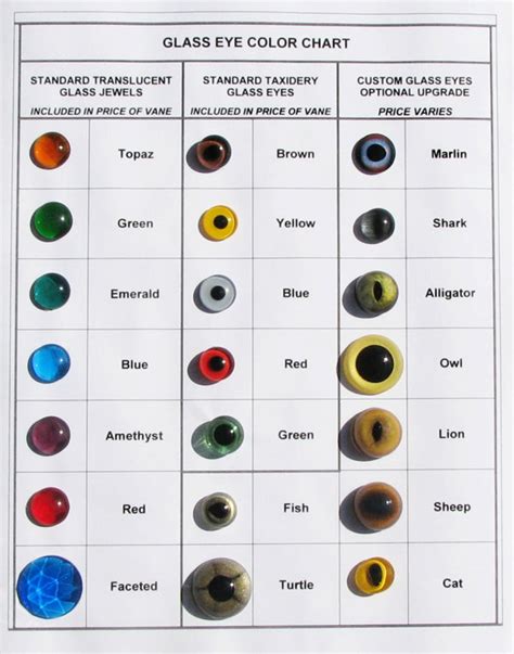 Eye Color Chart Names