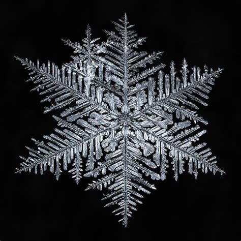 Photographing Snowflakes Sky Crystals Science Connected Magazine