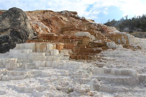 Yellowstone is a place of change, and this view highlights a place where change is constant and evident—the travertine terraces of mammoth hot springs. Mammoth Hot Springs Yellowstone National Park - LBPC