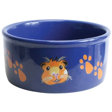 Any spilled food should be cleared away on a daily basis. Super Pet Paw-Print PetWare Bowl, Guinea Pig, Colors Vary ...