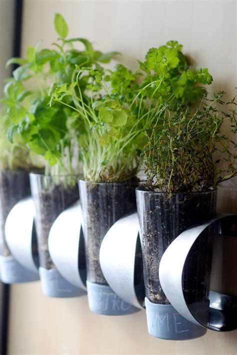 10 Diy Indoor Herb Garden Ideas And Planters Theyre Easy And So Cute