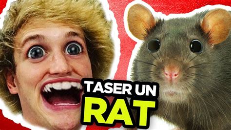 Taser Des Rats Avec Logan Paul Youtube