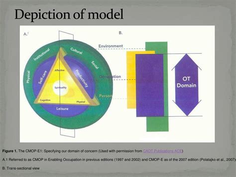 Ppt The Canadian Model Of Occupational Performance And Engagement