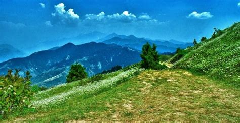 Dainkund Peak Tourist Places Tourist Himachal Pradesh