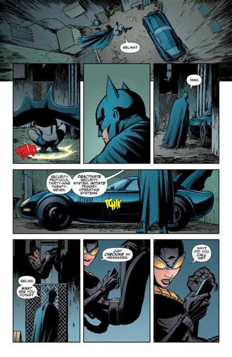 Bat And Cat Romance Batman And Catwoman Catwoman Comic Gotham Villains