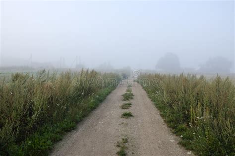 Rural Morning Gravel Road And Mist Stock Image Image Of Perspective