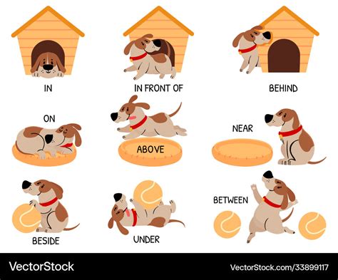 English Prepositions With Cute Animal Cartoon Dog Vector Image