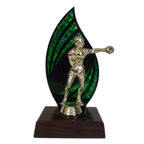Buy Flameback Boxing Trophy 2895 Award Engravers