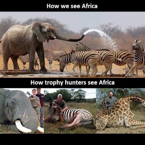 Stop Hunting Stop Animal Cruelty Animals Trophy Hunting