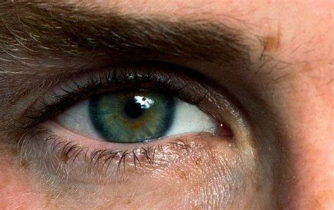 نتيجة بحث الصور عن amazing green eyes guy Dark green eyes Blue