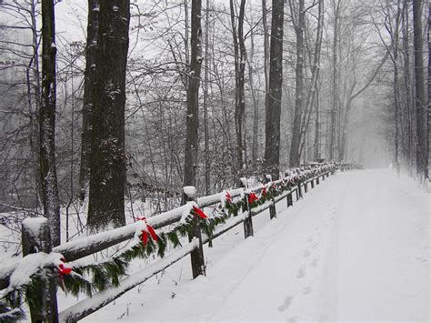 Snow Photography 8x10 Cleveland Metroparks Ohio Deck The Trail