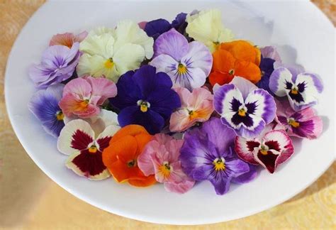 • bear in mind that not all flowers are edible. Edible Flowers Pansy Mix in 2020 | Edible flowers, Edible ...