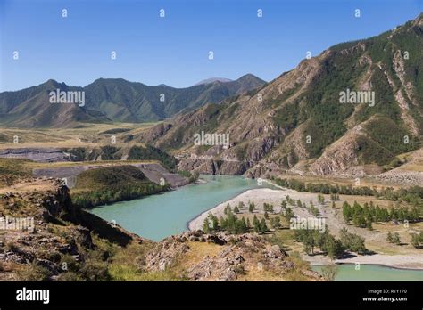 Katun River In Gorny Altai Russia Surrounded By High Mountains Stock