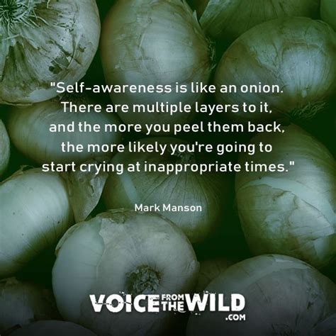 Self Awareness Is Like An Onion There Are Multiple Layers To It And