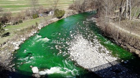 River Turns Bright Green To The Horror Of Residents Abc News