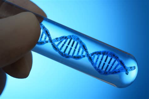 Scientists Have Created Four New Letters Of Artificial Dna Discover