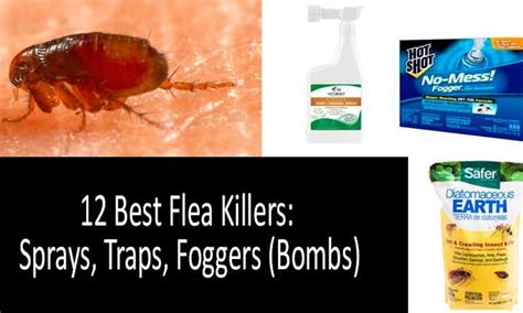 Fleas Quickly Best Flea Sprays Traps And Foggers S