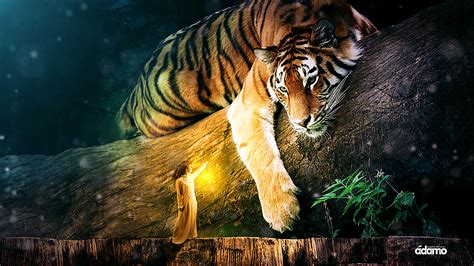 Woman And Tiger Manipulation On Behance