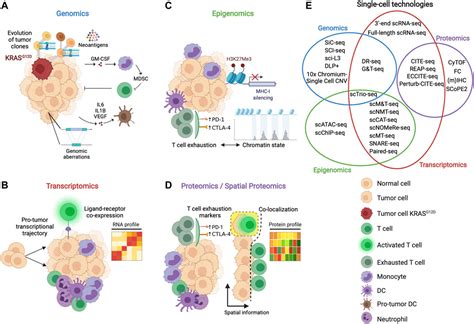 Frontiers Breaking The Immune Complexity Of The Tumor Microenvironment Using Single Cell